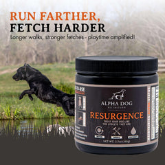 Closeup of Resurgence beef flavor appealing to dogs