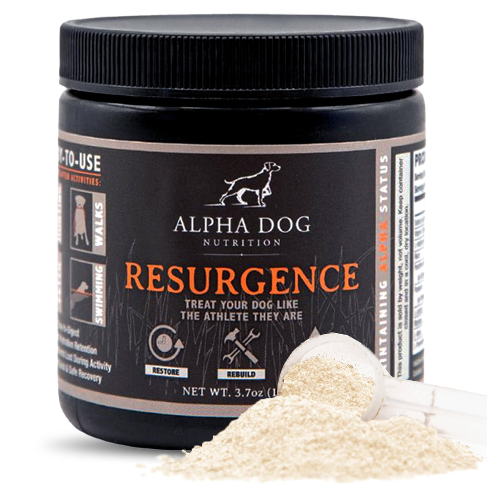Alpha Dog Nutrition Resurgence bottle ready for hydration support