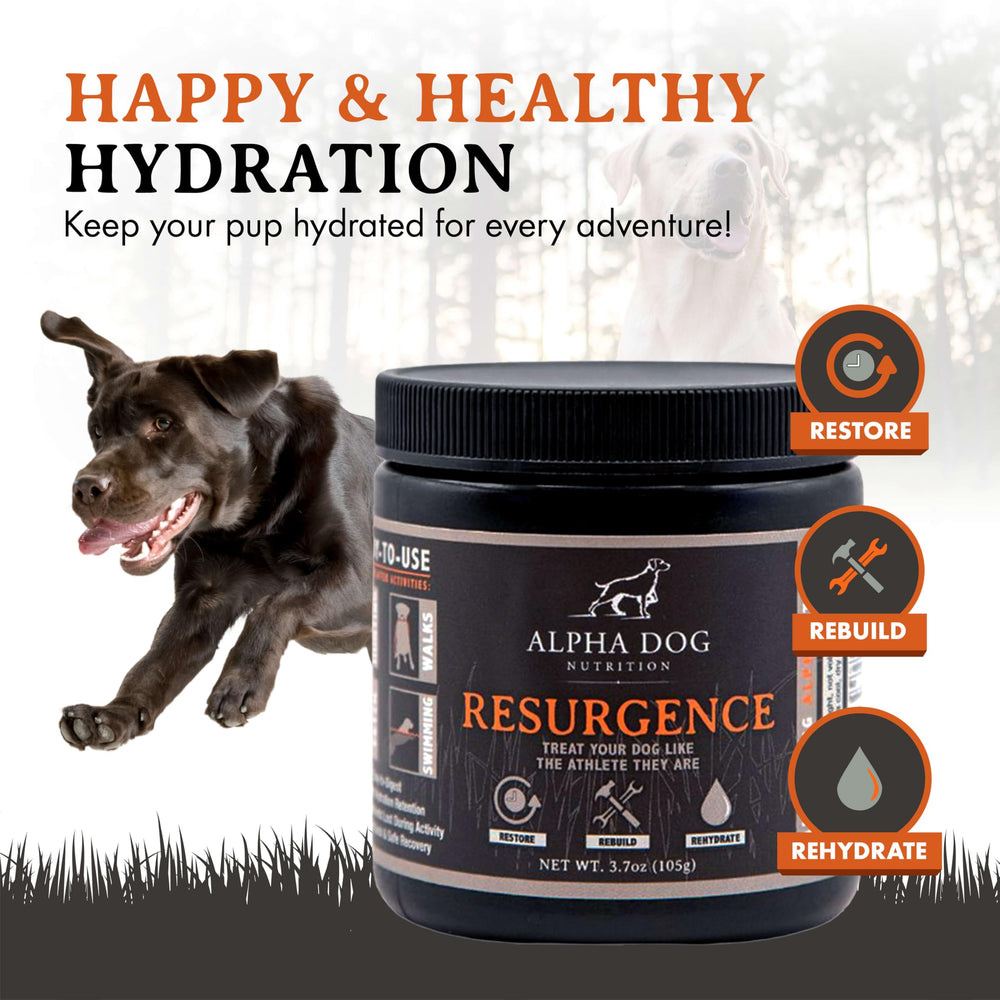 Resurgence helps a dog stay hydrated during activity