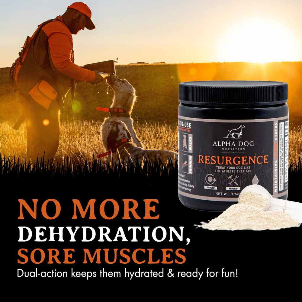 Resurgence packaging highlights USA-made quality
