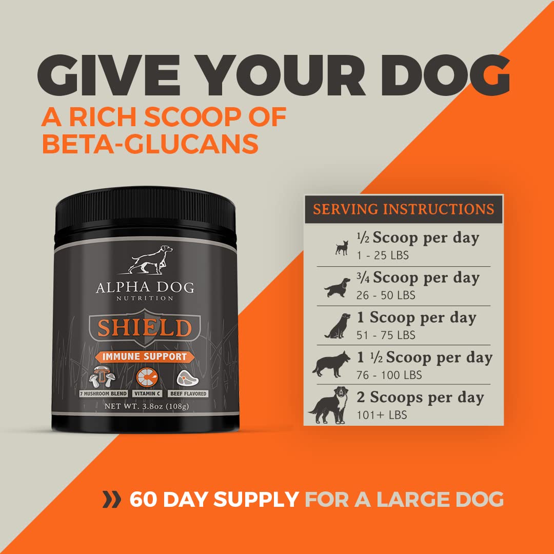 Alpha Dog Shield measuring spoon included for precise daily dosing.