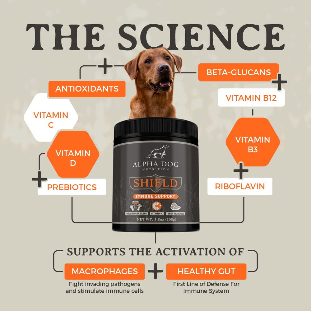 Alpha Dog Shield powder being dispensed for easy daily dosing.