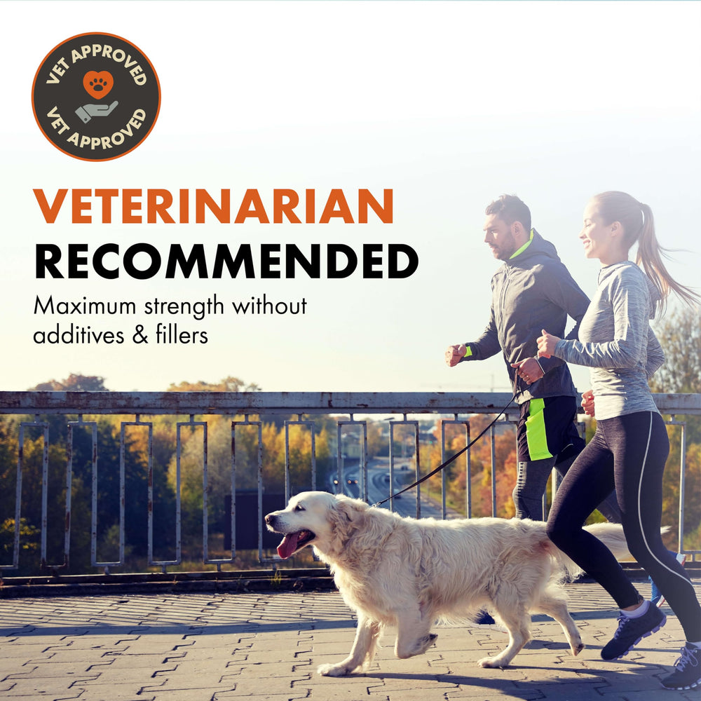 Alpha Dog Shield Vitamin C boost featured for daily nutrient support.