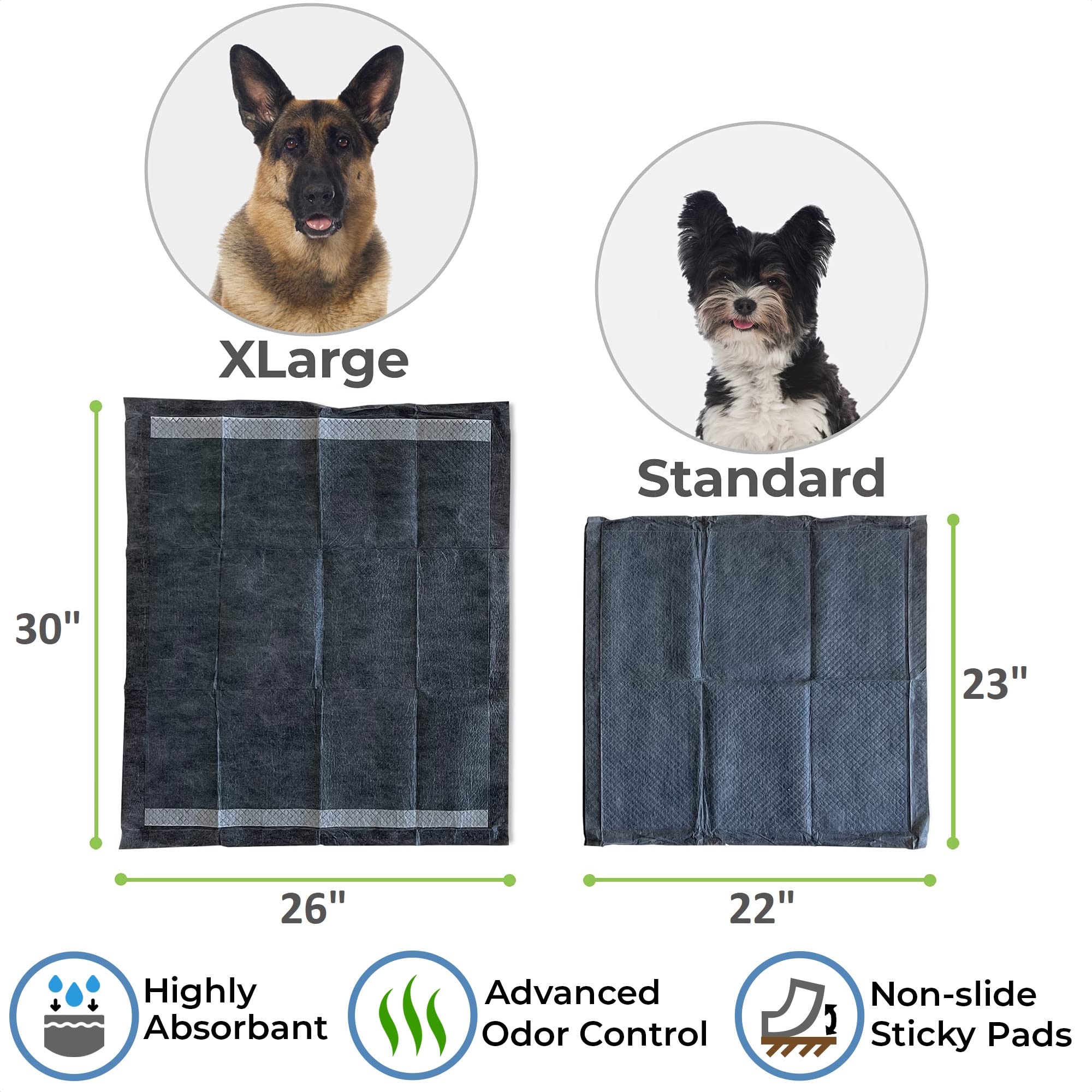 Alpha Paw Magic Dog Pee Pad measures 26x30 inches for large breeds and seniors