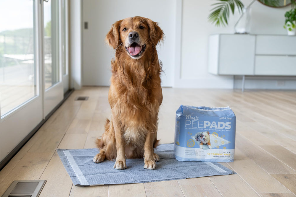 Alpha Paw Magic Dog Pee Pad waterproof bottom protects floors during use