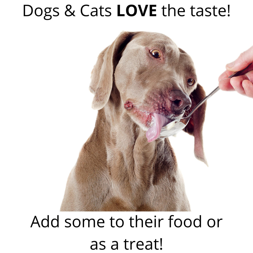 ALPHA PET ZONE Coconut Oil provides gentle anti-itch relief for coat care.