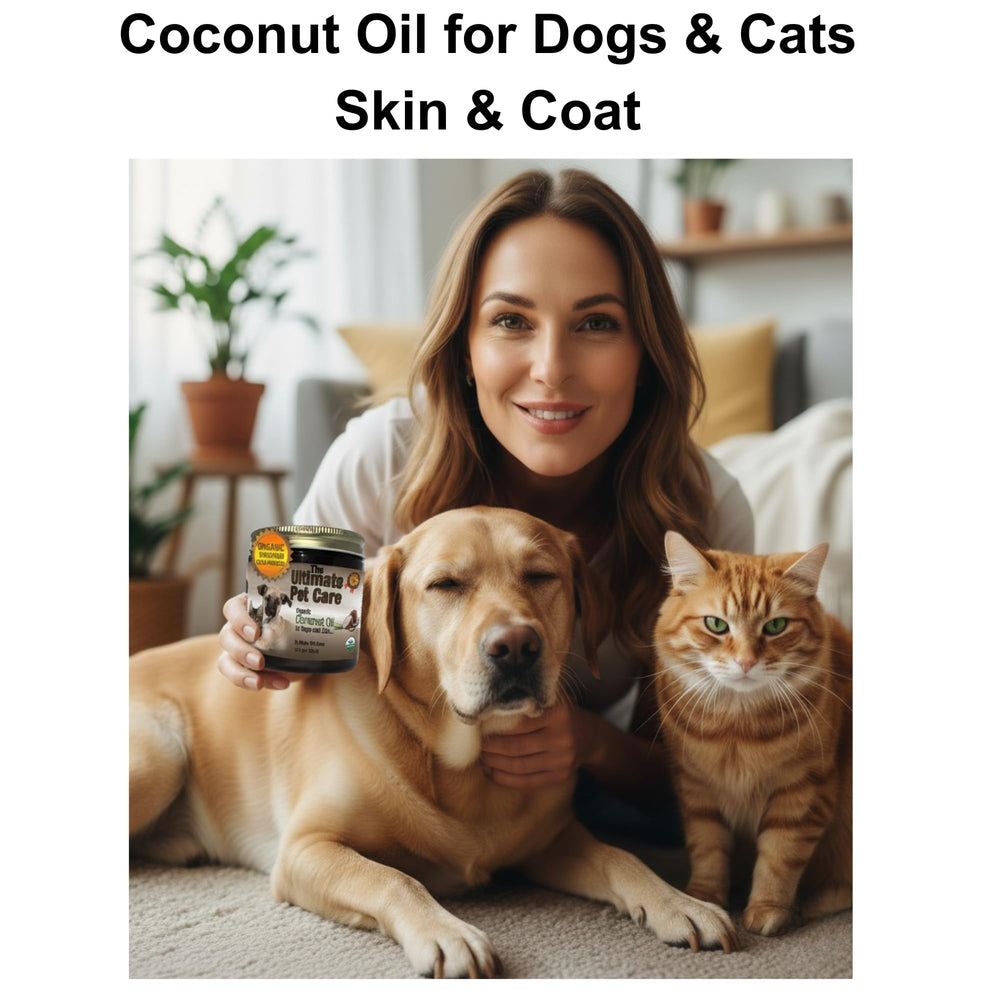 ALPHA PET ZONE Coconut Oil for paw care and dry skin relief.