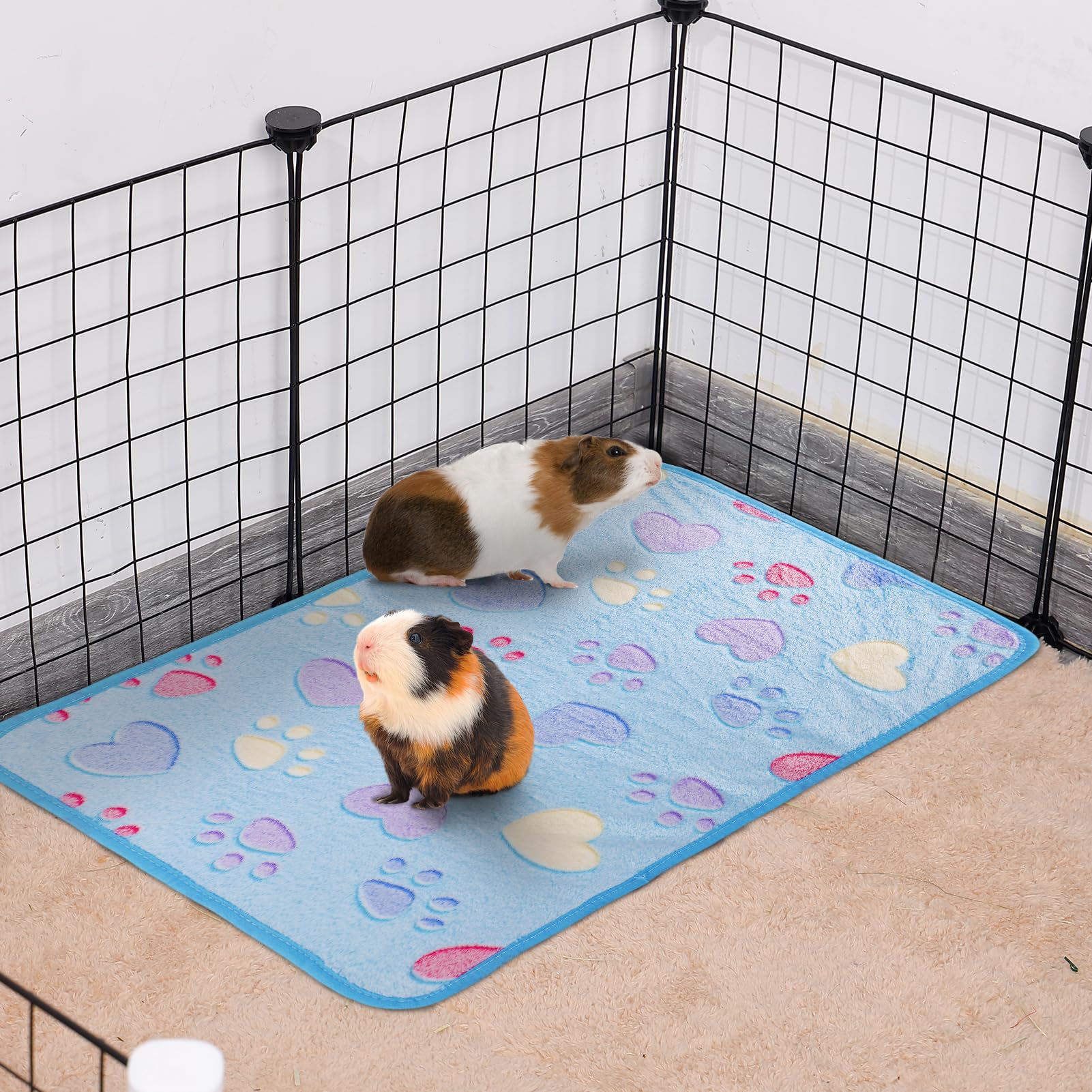 Alphatool Guinea Pig Blanket pink and sky blue color option in cozy setup
