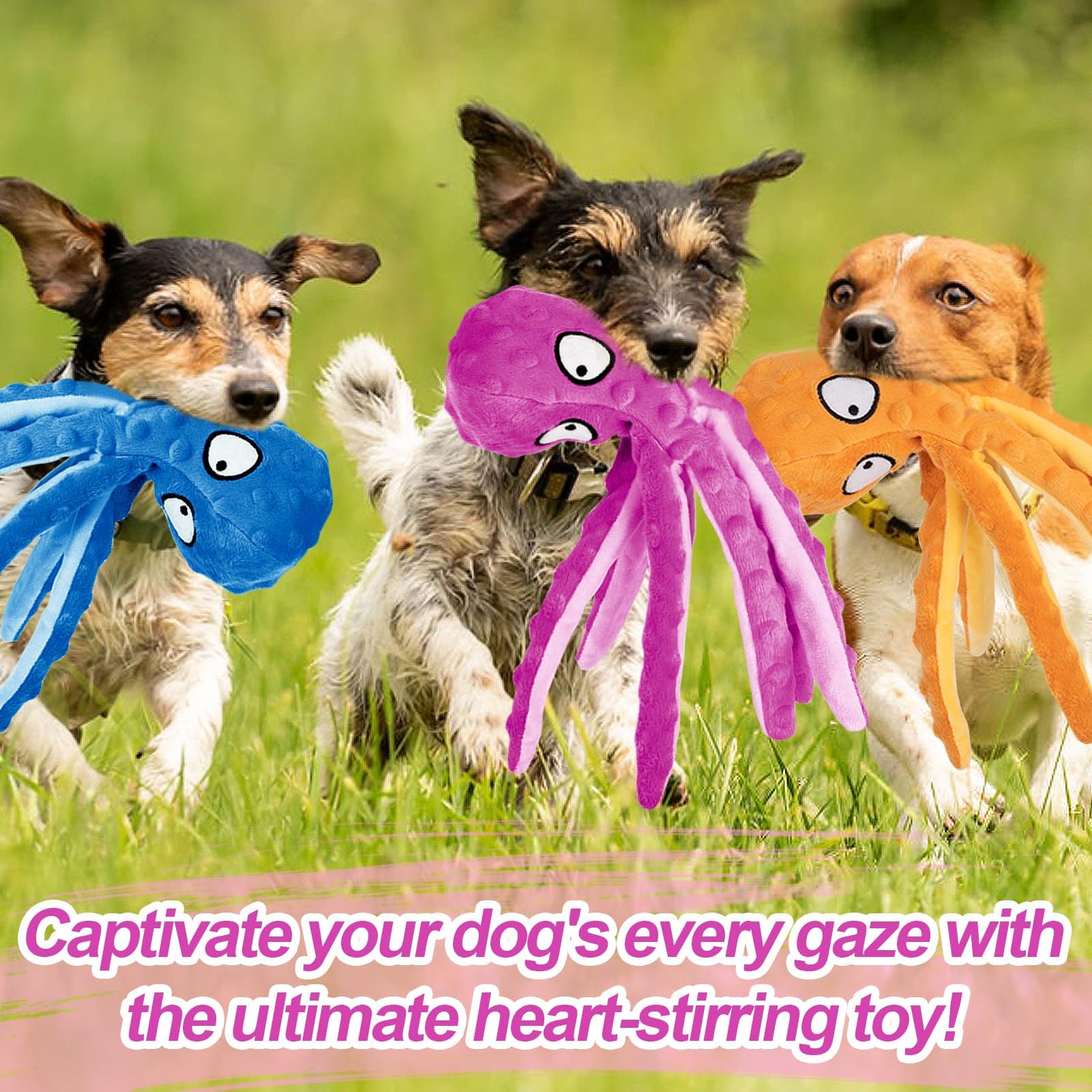 Alphatool Squeaky Dog Toy octopus purple adds crinkle appeal for fetch.