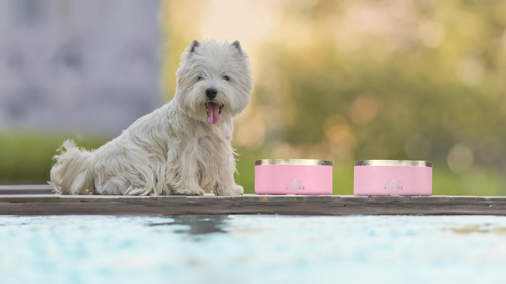 ALPINE set of 2 bowls ideal for easy feed and water rotation.