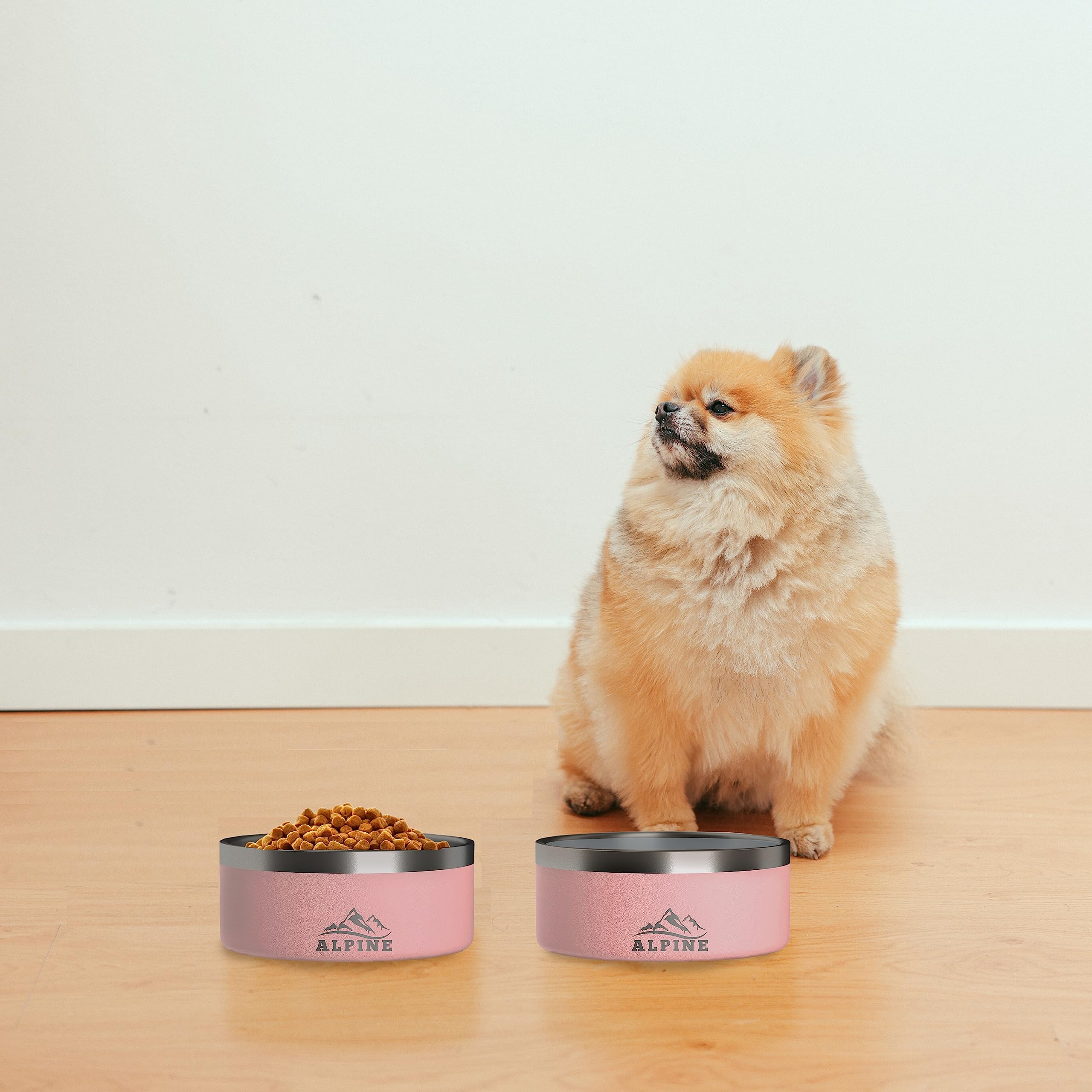 ALPINE rust-resistant stainless steel bowls with smooth rims for pet comfort.