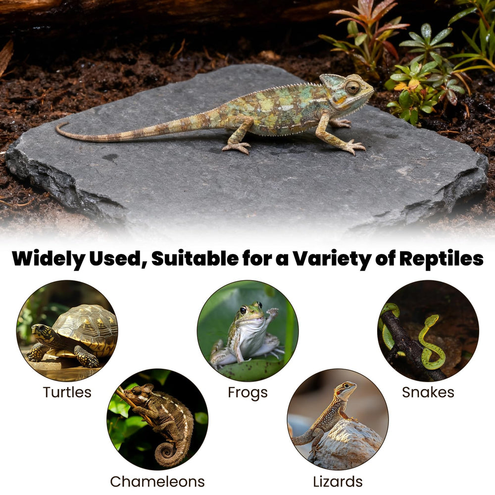 Alrhso reptile-enclosure accessory helps maintain nails naturally during play.