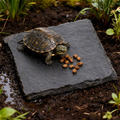 Alrhso slate platform easy-clean surface simplifies hygiene between sessions.