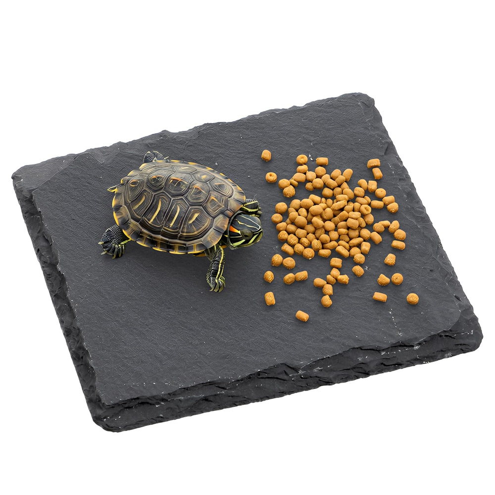 Alrhso slate tortoise basking platform provides a natural lounging surface for reptiles.