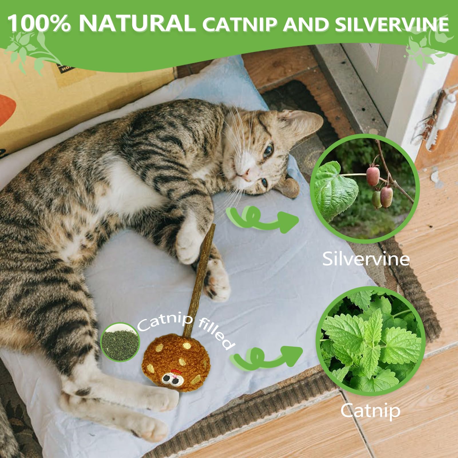 ALTABOMBA Gift Pack Cat Toys ready for joyful surprises