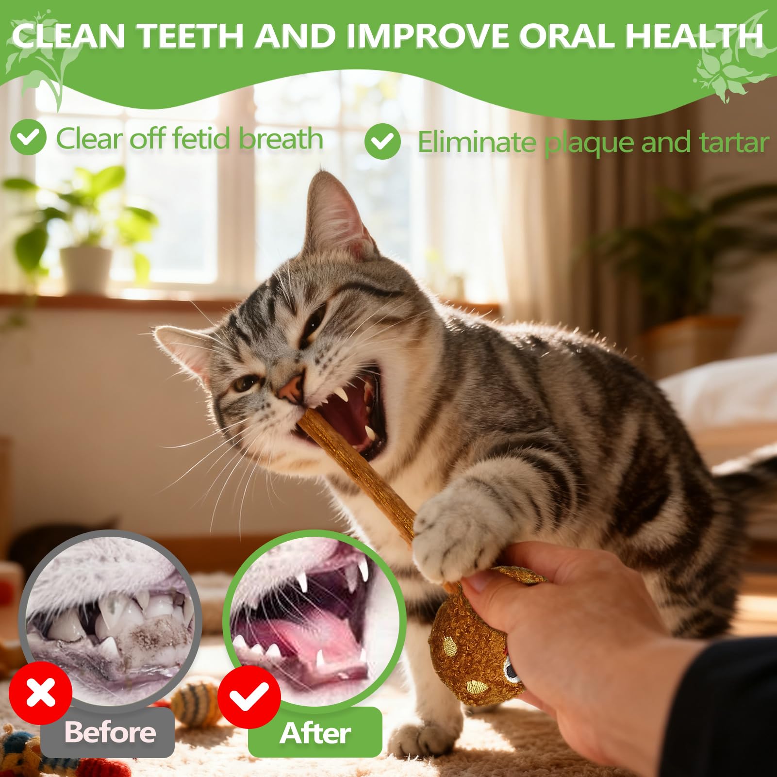 ALTABOMBA Teeth-Cleaning Cat Toy supports dental-chewing activity and breath freshness