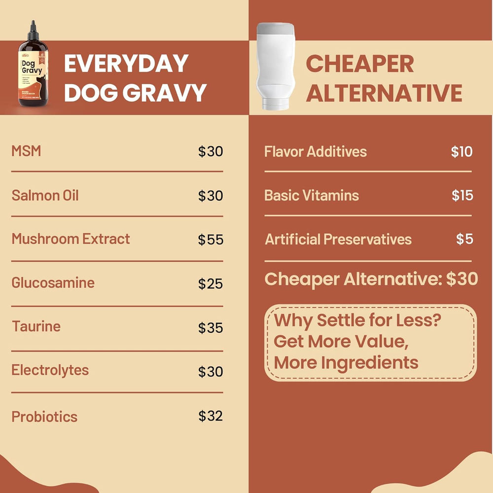 Altira Everyday Dog Gravy Beef over kibble — boosts meal appeal for picky eaters