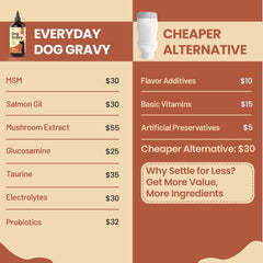 Altira Everyday Dog Gravy Beef over kibble — boosts meal appeal for picky eaters