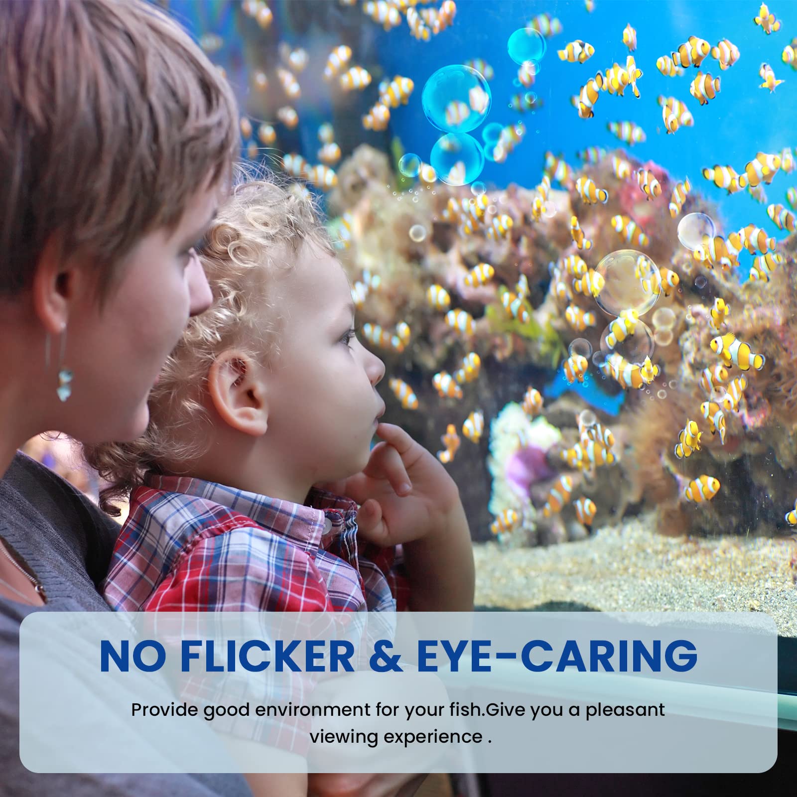 Aluxcia E26 eco-friendly, mercury-free light for safe aquarium use.
