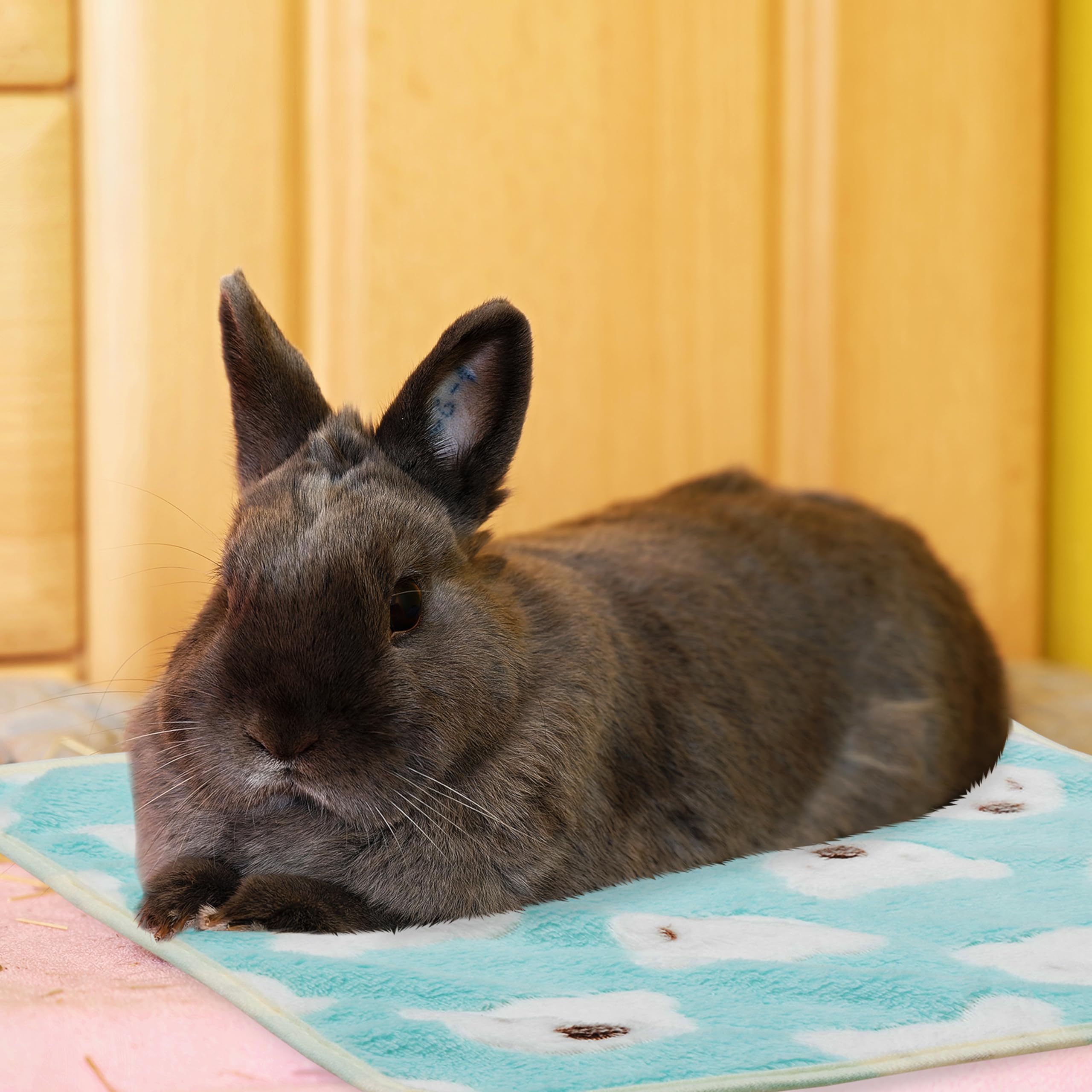 ALUZAEMO fleece blankets come in two sizes for versatile use.