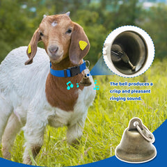 ALUZAEMO goat bell close-up shows clear, pleasant chime.