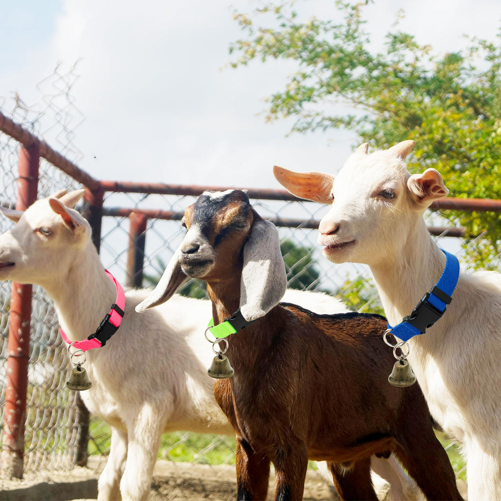 ALUZAEMO durable daily-wear collar ideal for small farm animals.