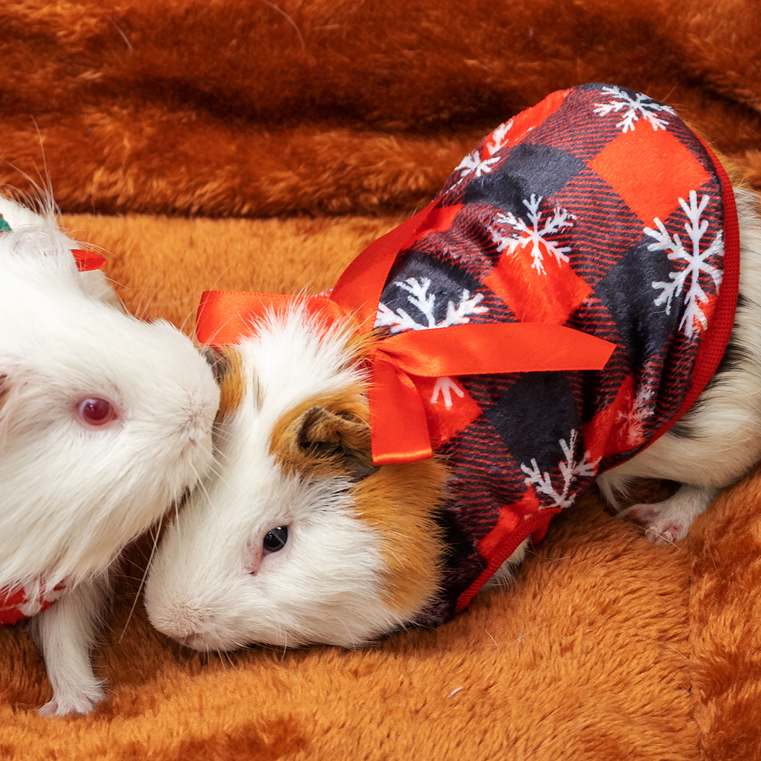 ALUZAEMO Guinea Pig Clothes festive plaid print for holidays and photos