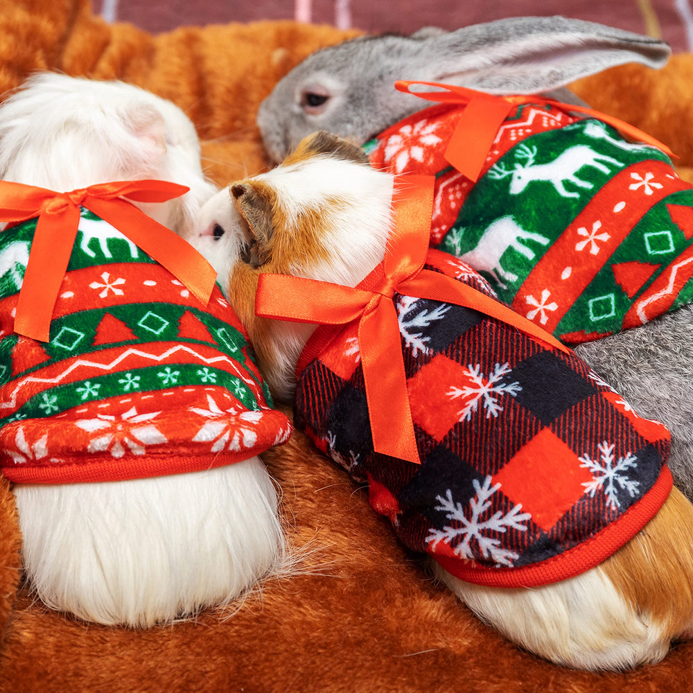 ALUZAEMO Guinea Pig Clothes soft fleece openings to prevent chafing
