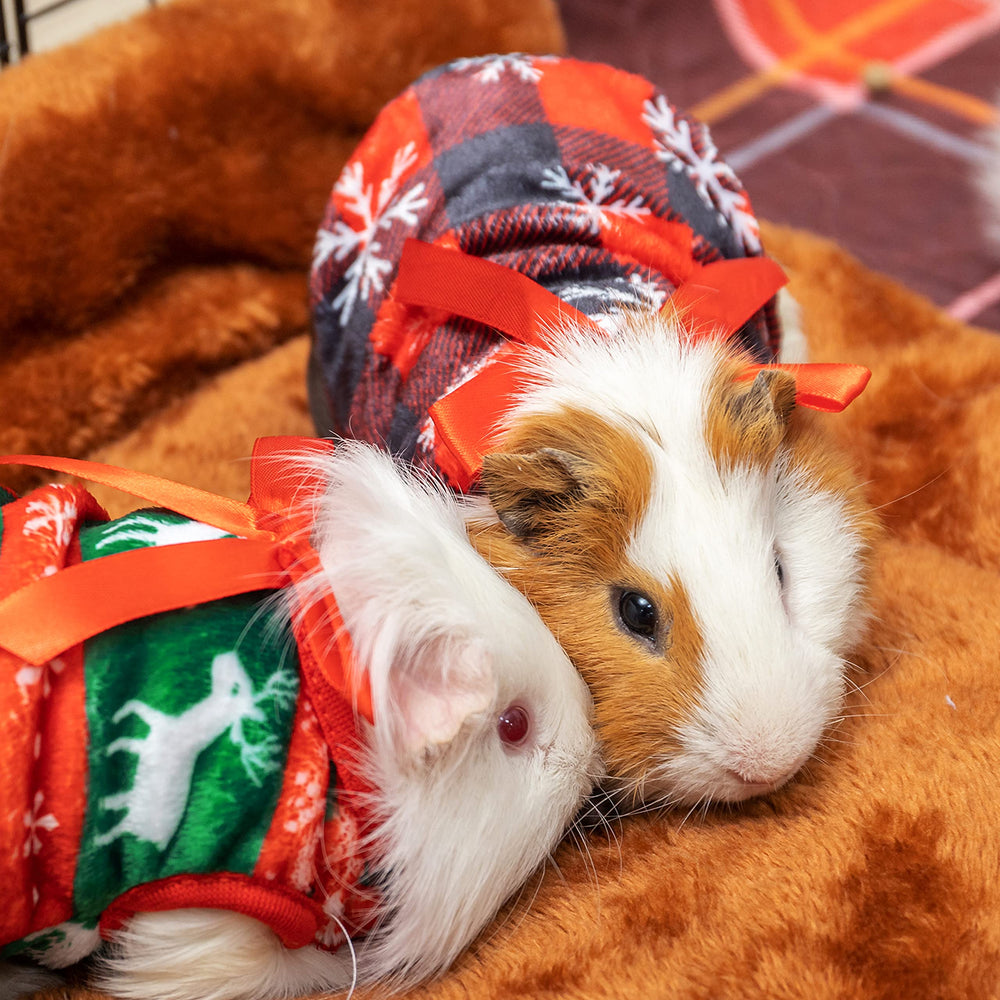 ALUZAEMO Guinea Pig Clothes warm vest for winter wear on small pets
