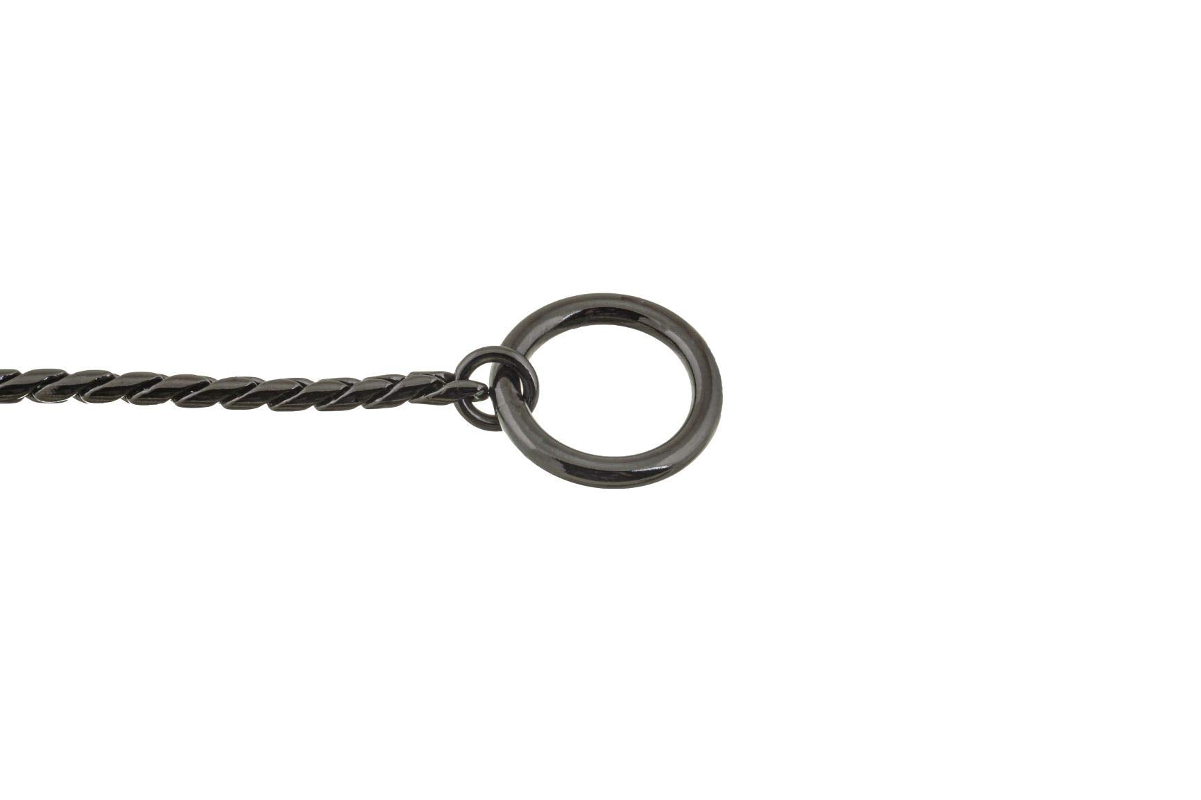 Alvalley slip collar on dog during show setup demonstrates gentle control.