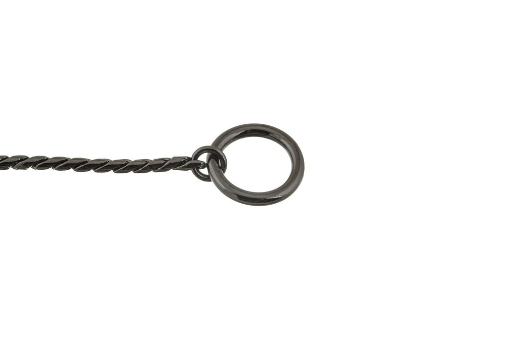 Alvalley slip collar on dog during show setup demonstrates gentle control.