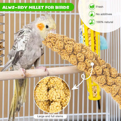 ALWZ-RDY Millet Spray Length highlights long edible tops for parrots and birds
