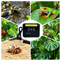 AlxamolTools Reptile Mister System with 3 mist modes for species-specific humidity.