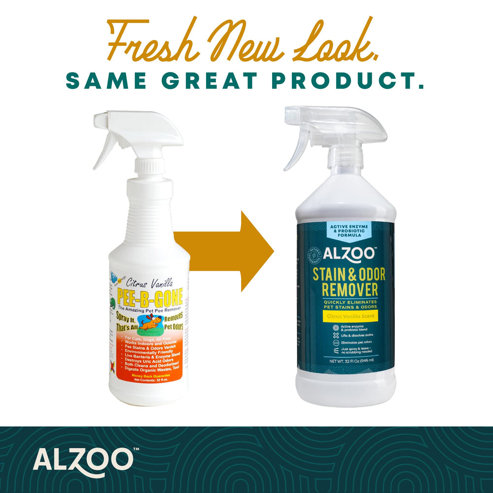 ALZOO stain remover applied on carpet illustrates safe surface cleaning without harsh chemicals.