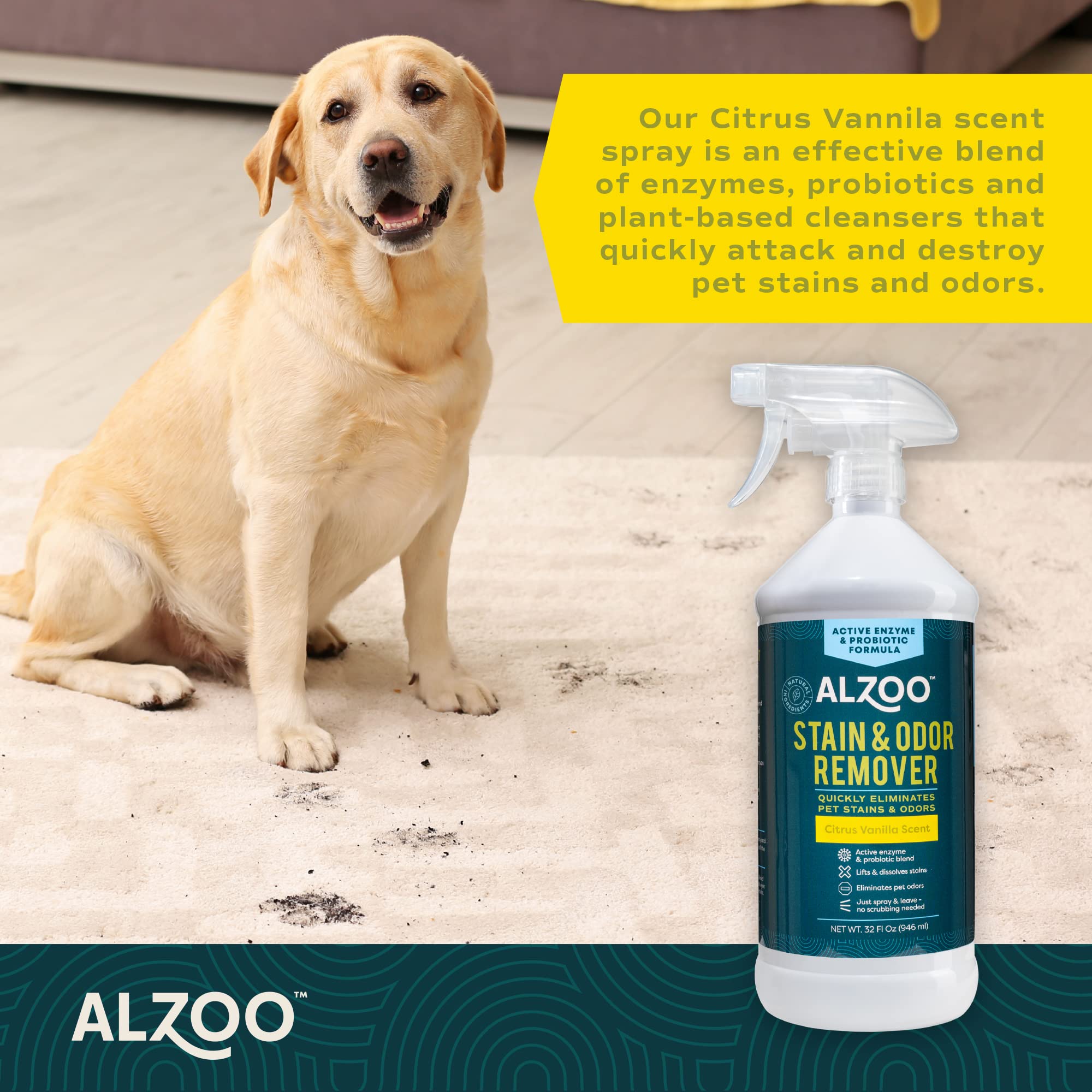 ALZOO Stain & Odor Remover with citrus-vanilla scent enhances room freshness during cleaning.