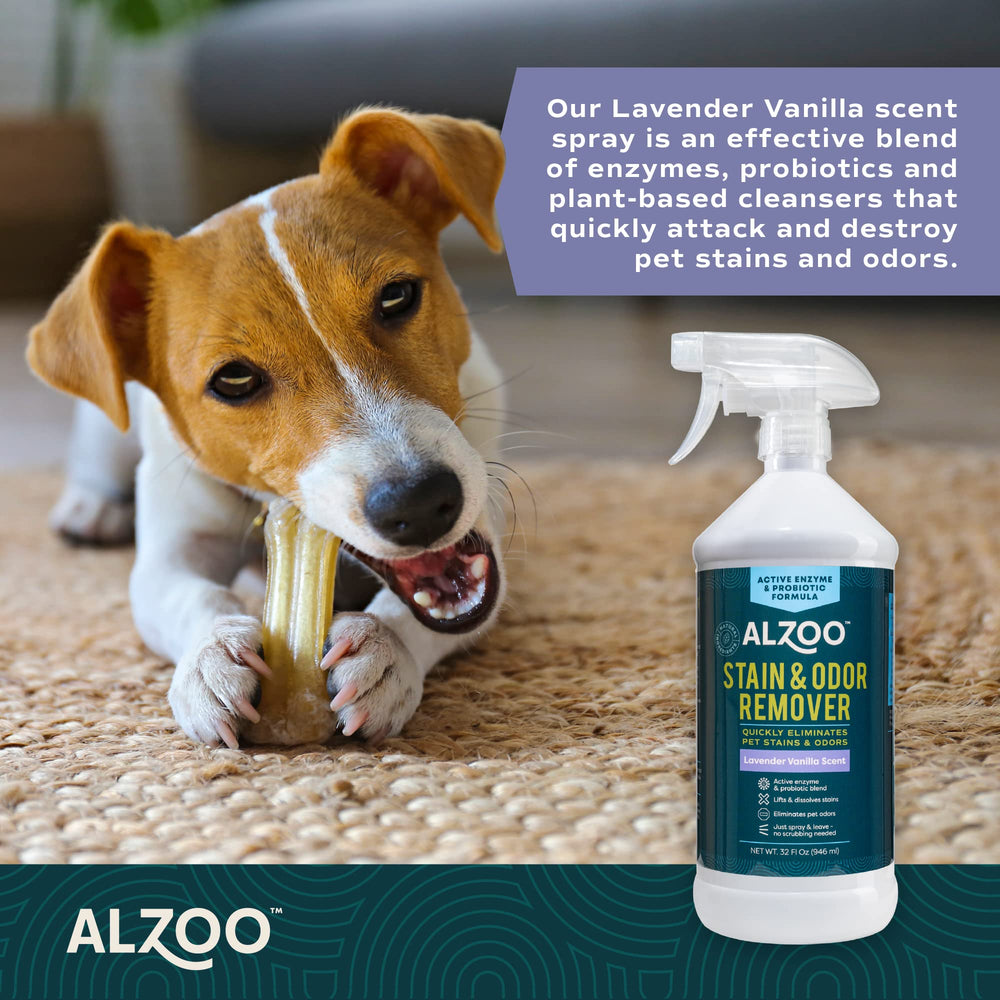 ALZOO stain remover is safe for carpets, wood, stone, and most surfaces