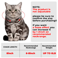 Amabro Cat Chain Collar silver buckle close-up shows secure fit.