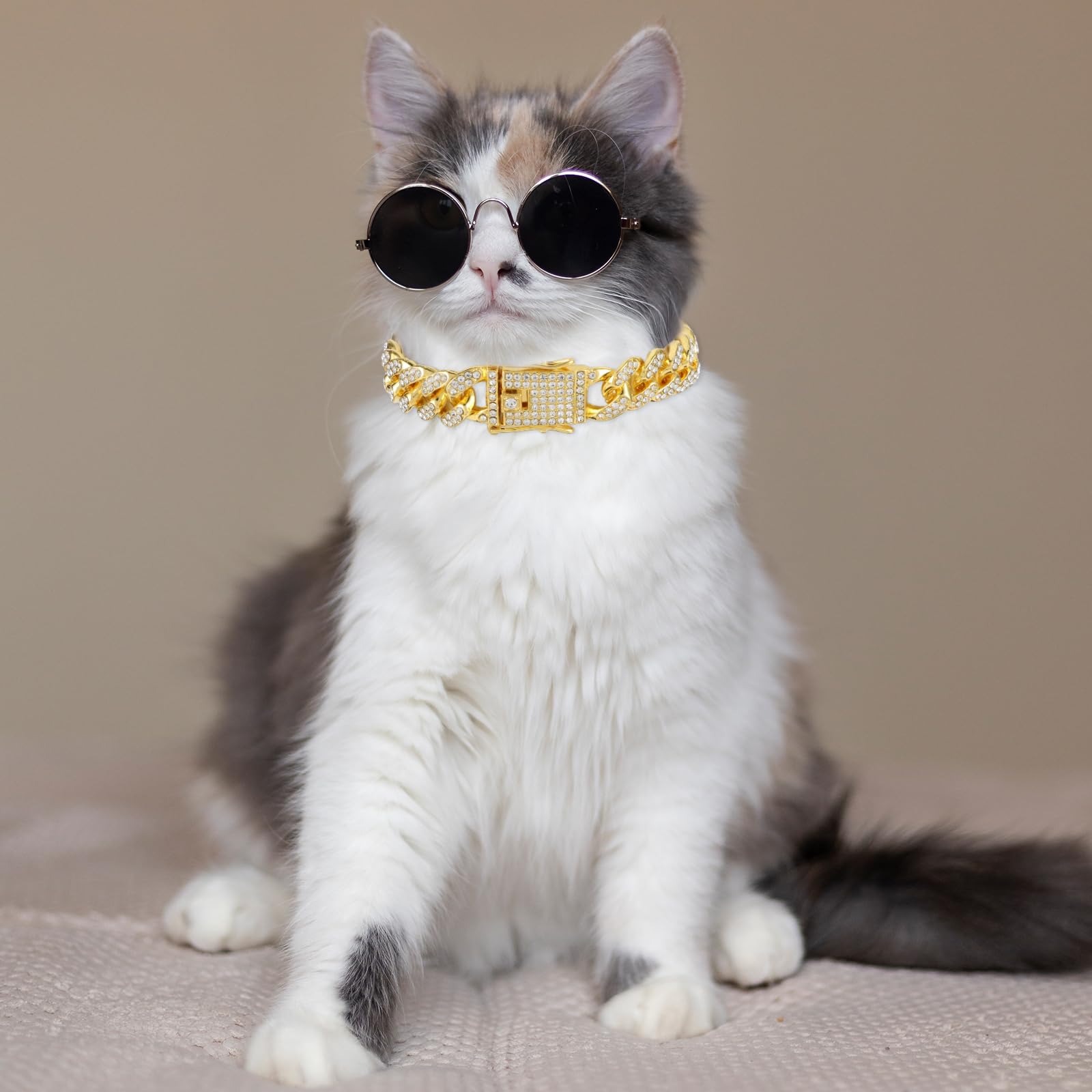Amabro Cat Chain Collar silver on kitten walking outdoors, ideal for daily wear.