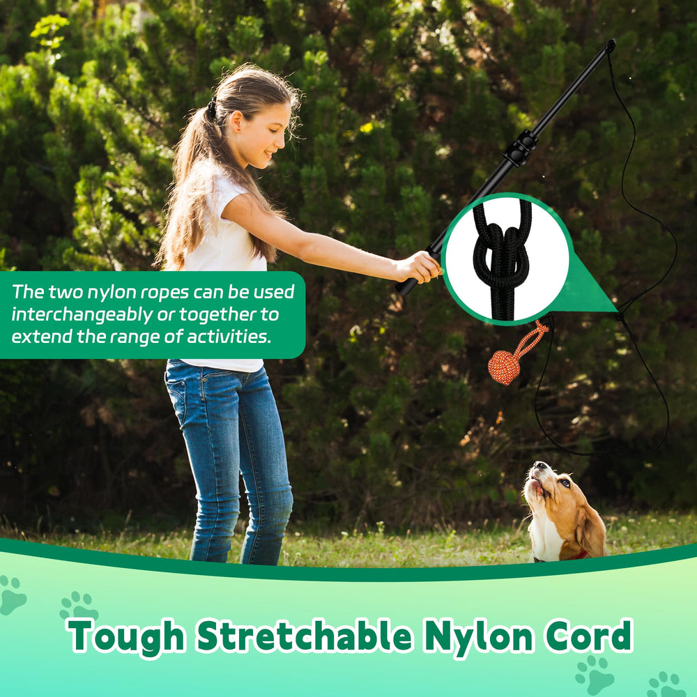 AmaCielo dog playing outside promotes active training sessions.