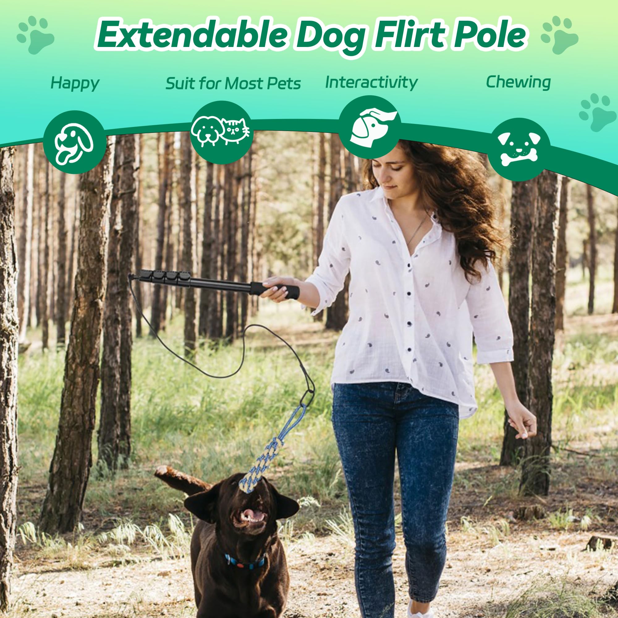 Two ball toys add fetch-style fun and teeth stimulation for dogs.