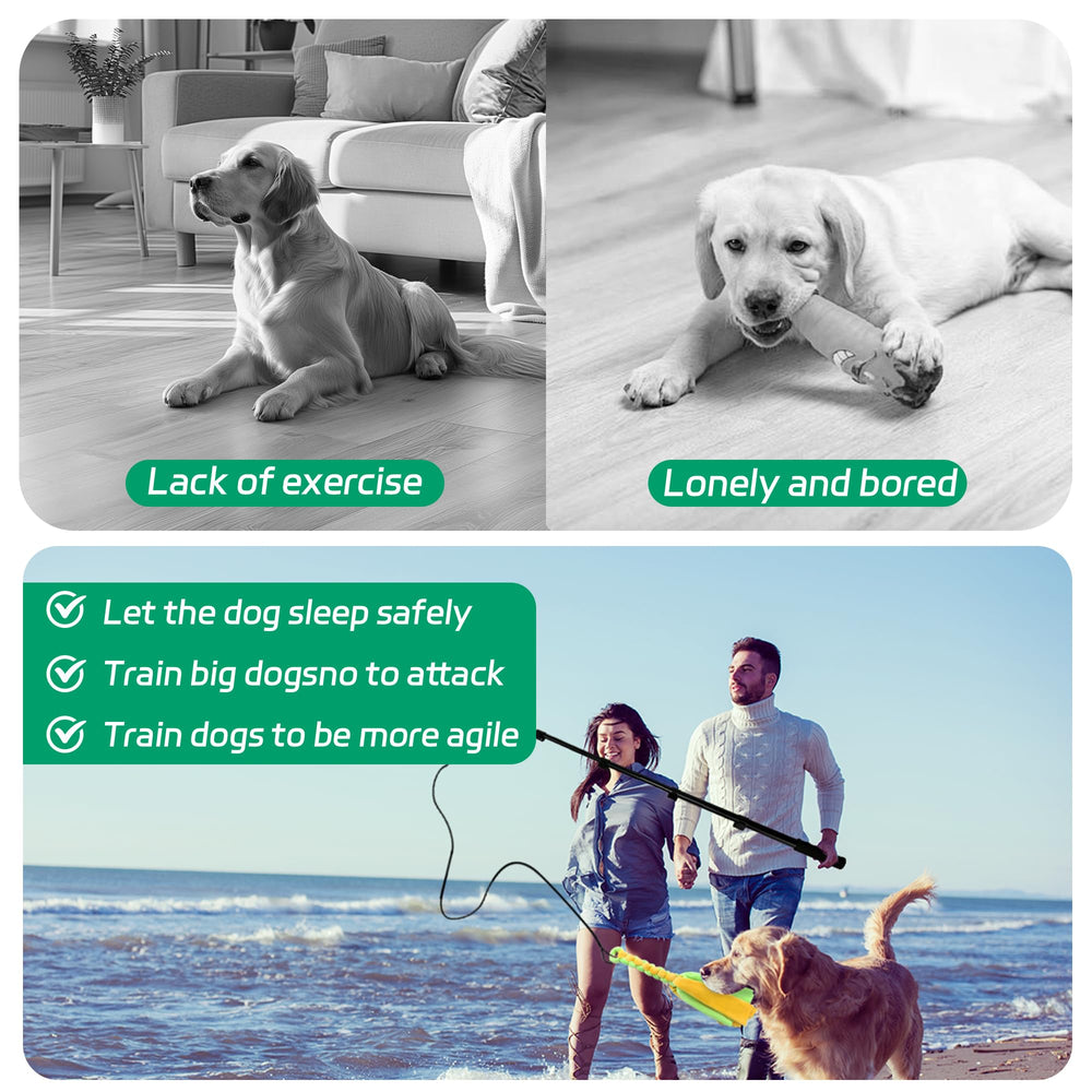 Cotton rope toys provide safe tug-of-war and teething-friendly play.