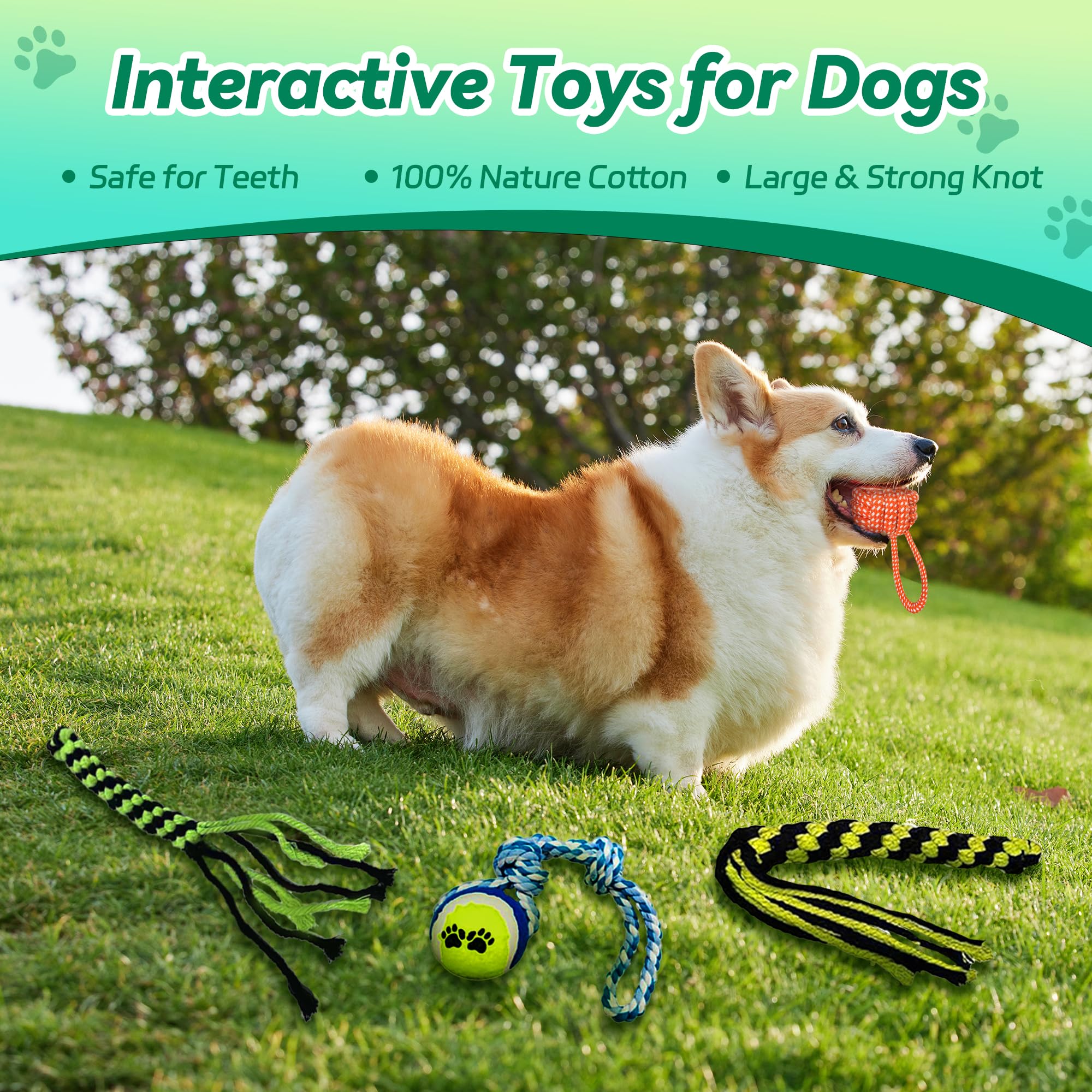 AmaCielo Flirt Pole designed for outdoor play and interactive fetch-style training.