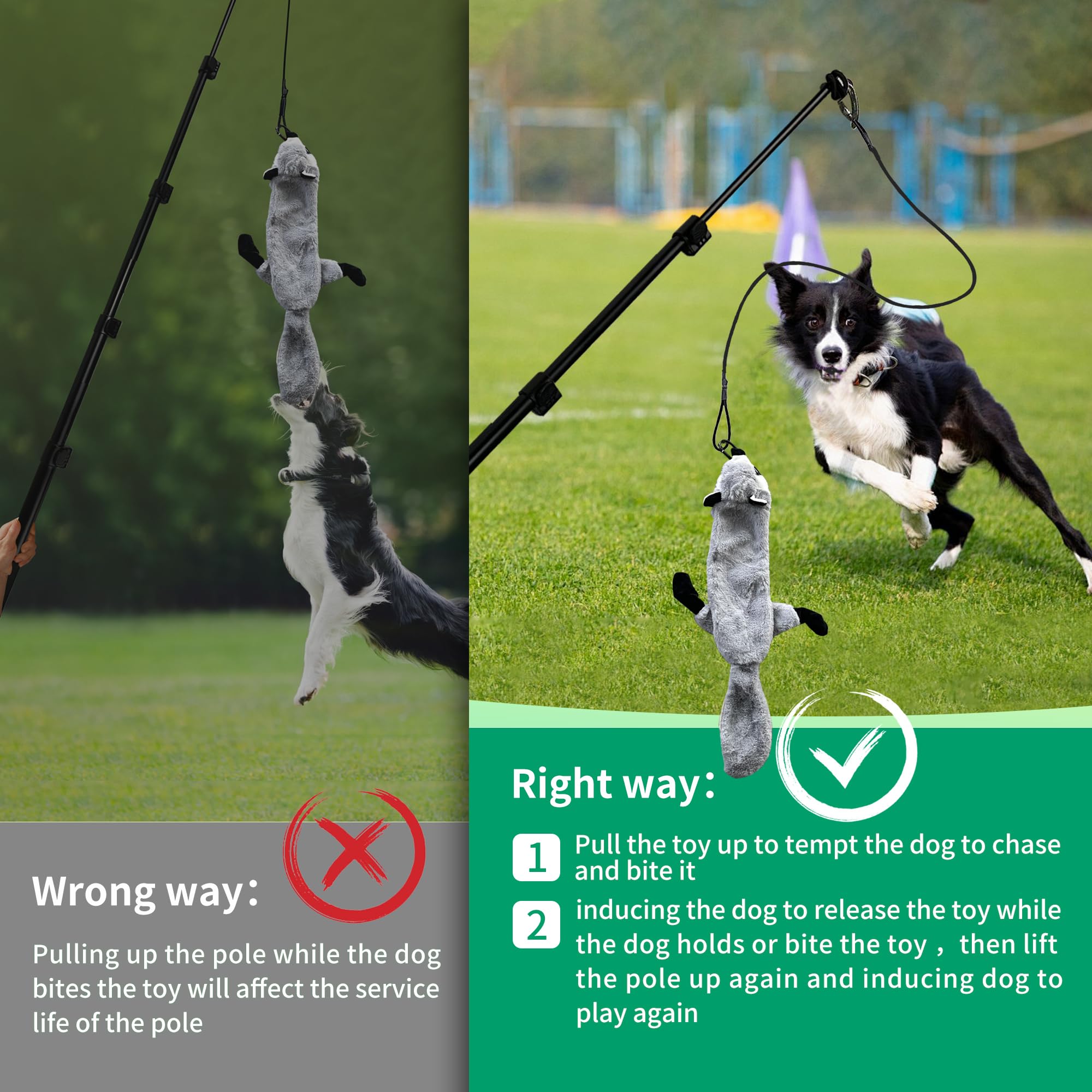 Two nylon cords enhance durability during vigorous play with AmaCielo Flirt Pole.