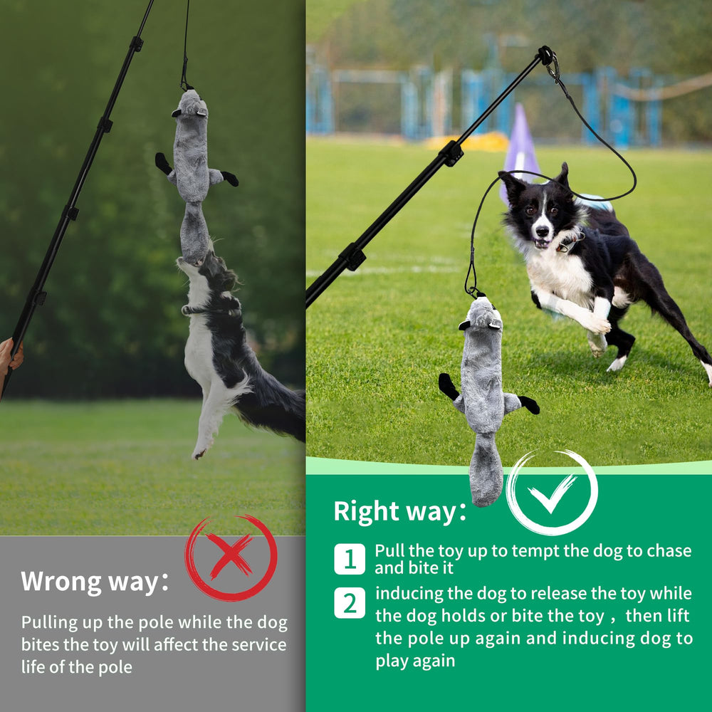 Two nylon cords enhance durability during vigorous play with AmaCielo Flirt Pole.