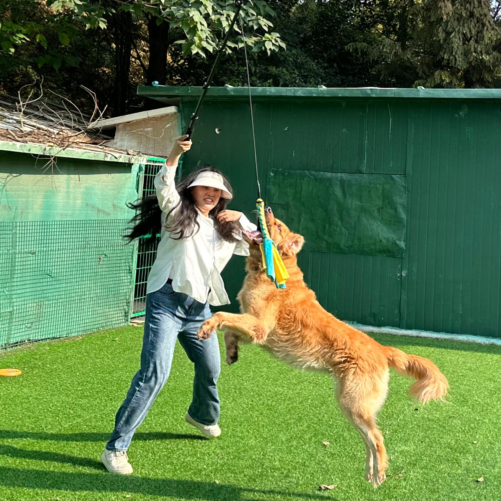 Outdoor exercise and training made easy with AmaCielo Flirt Pole.