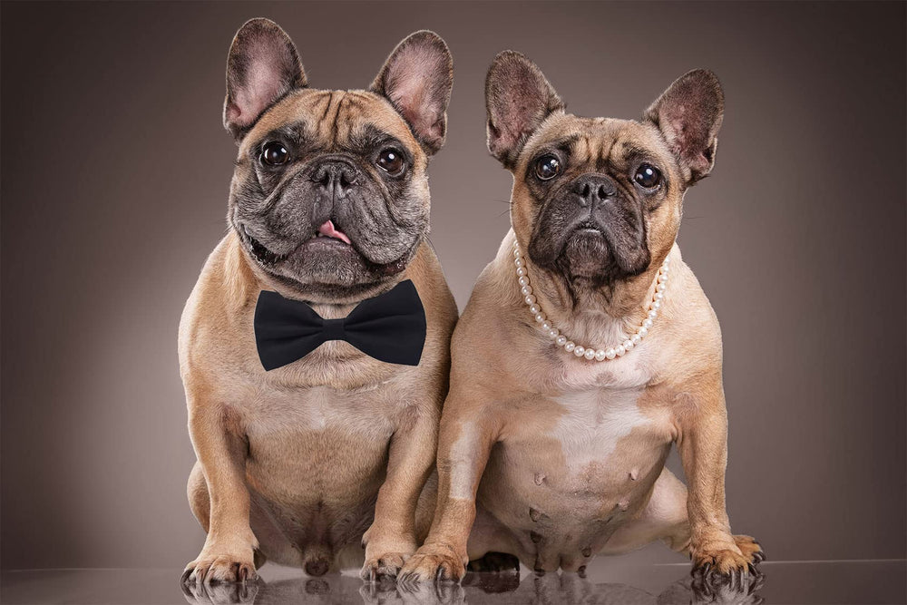 Amajiji bow tie requires dry clean only to preserve fabric and shape