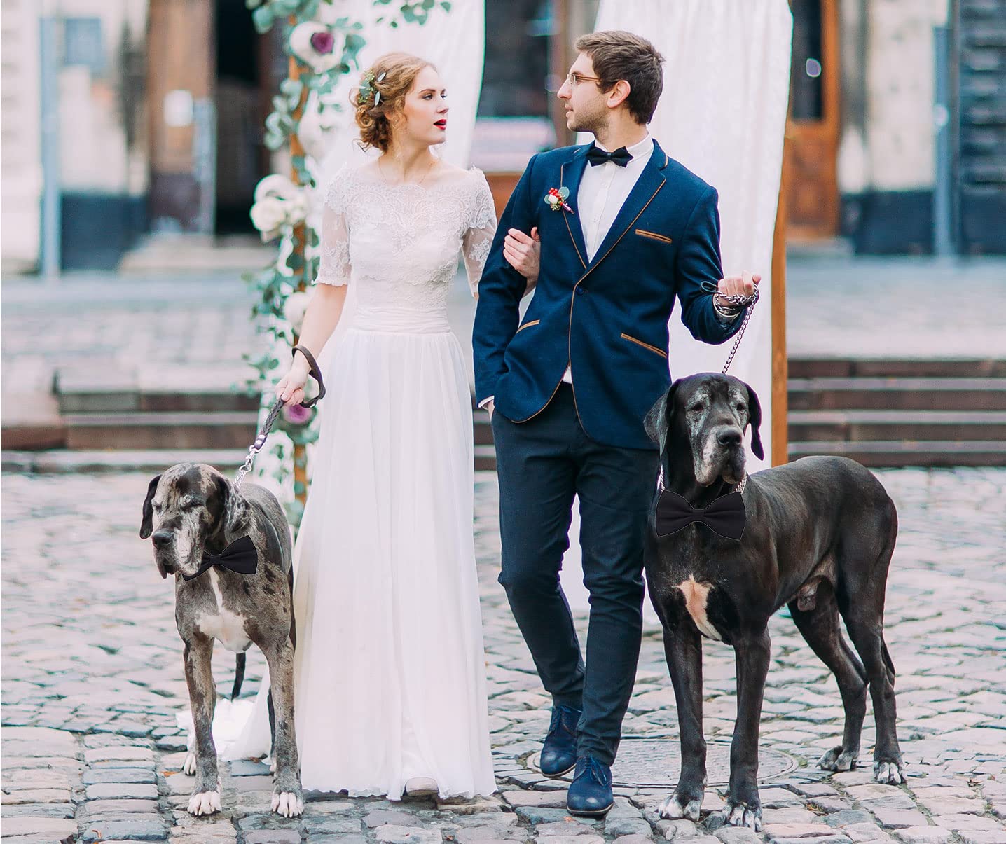 Amajiji D114 bow tie worn on a medium dog for an elegant event look
