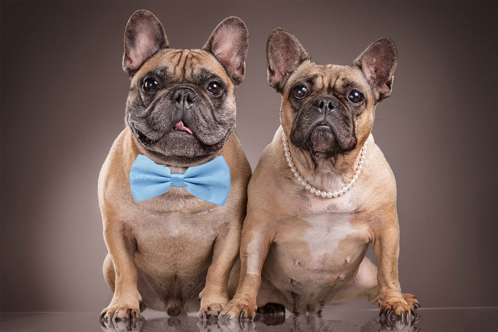 Amajiji holiday-ready light-blue bow tie adds energy to outfits
