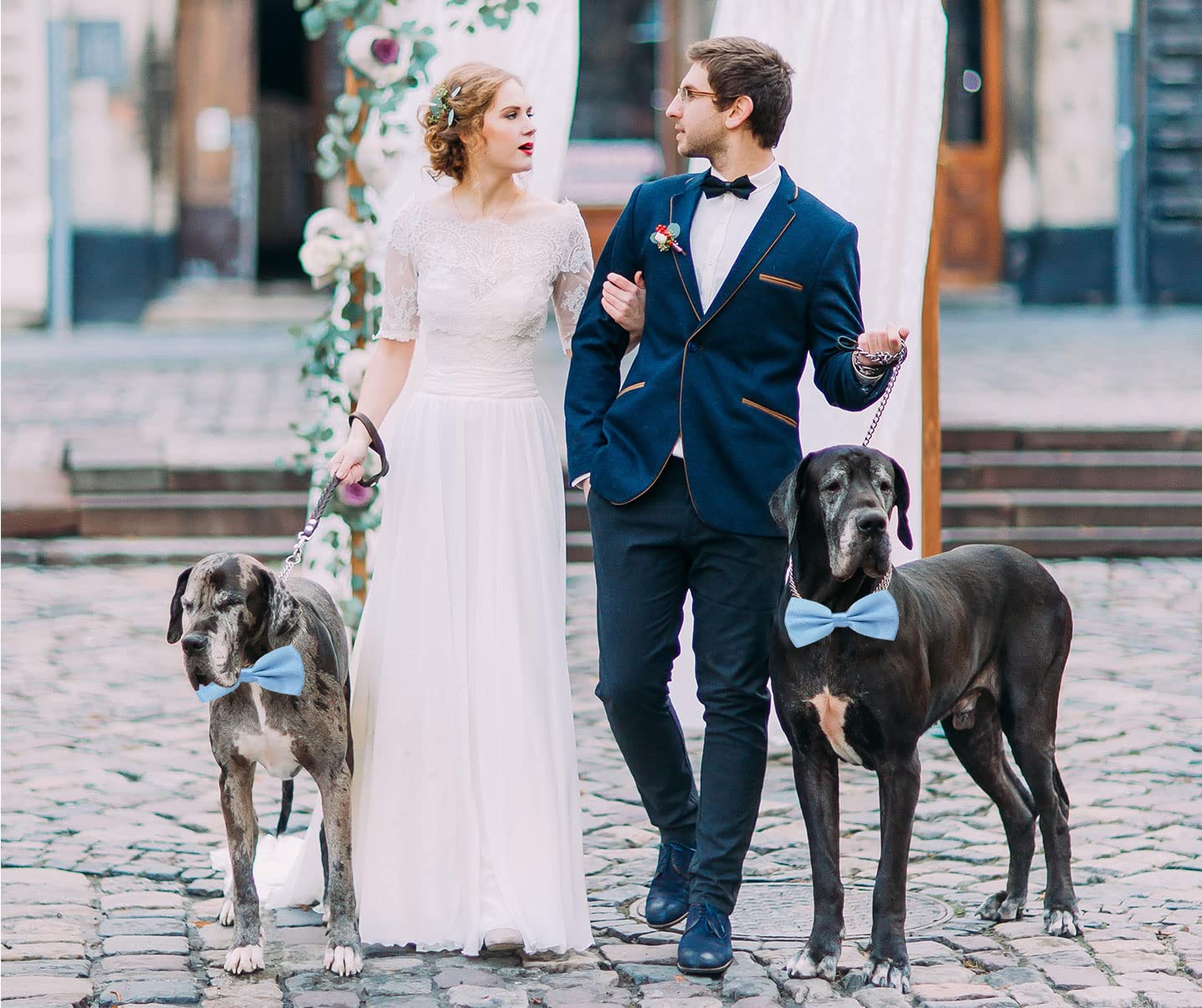 Amajiji light blue bow tie worn on dog with neck-friendly fit