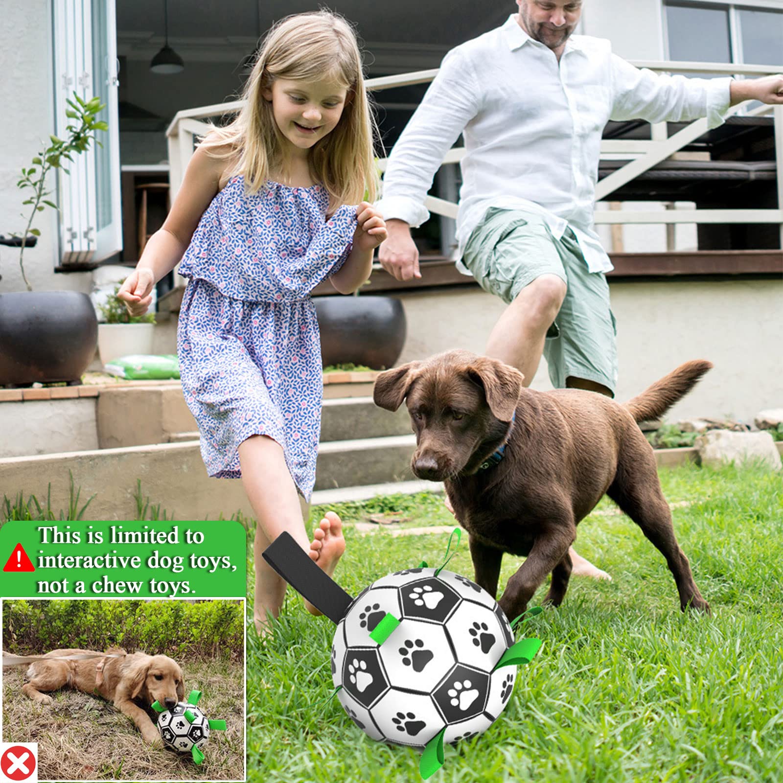 Amasiver ball with a happy dog at the beach for outdoor fun.
